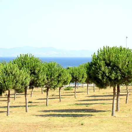 The Sea Garden Daire *